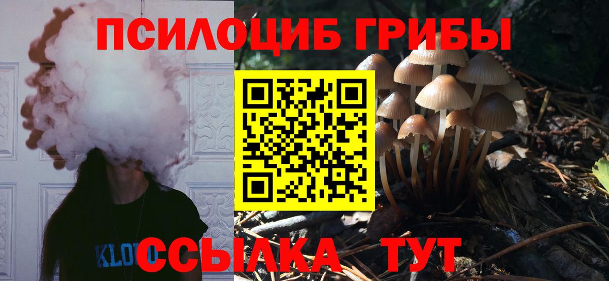 Псилоцибиновые грибы Cubensis Аксай