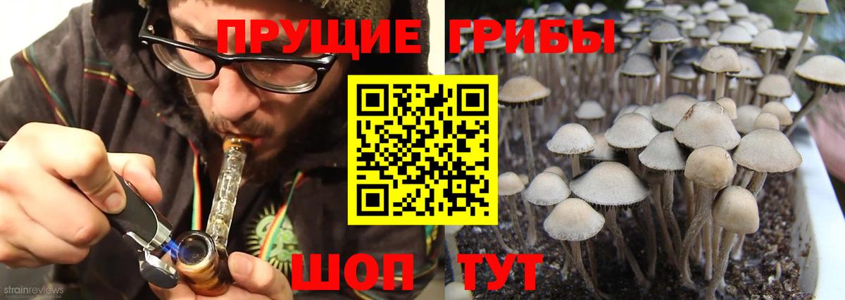 Галлюциногенные грибы ЛСД  Галлюциногенные грибы Magic Shrooms  Вход с VPN  Аксай 